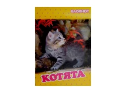 Блокнот Котята (15х10 №2 жёлтый) 16 стр.