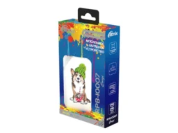 Power bank RITMIX RPB-10007 Corgi, Li-pol, 10000mAh, 2.1А, 2×USB, 1x MicroUSB (1/40)