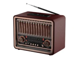 Радиоприёмник RITMIX RPR-089 REDWOOD (ФМ/АМ/СВ),BT,вх. AUX,2 дин.,mp3,воспр.micro SD/USB,вст. аккум