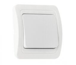 Выключатель SMARTBUY скрытая установка, 1-клавишный 10А белый "Марс" (SBE-02w-10-SW1-0) (1/10)